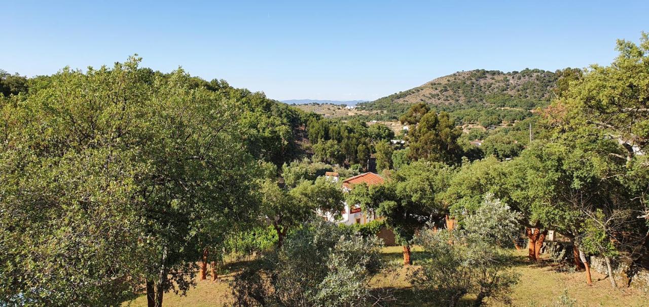 Galegos Casa Do Passaro别墅 外观 照片