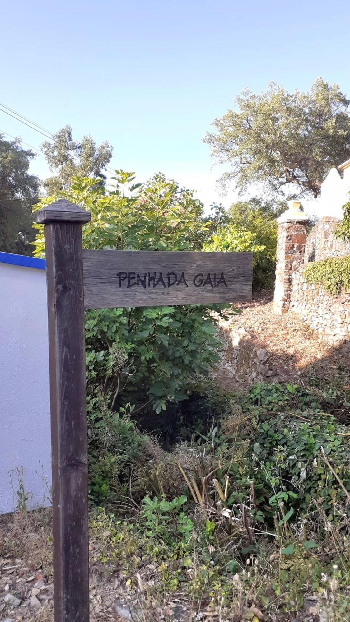Galegos Casa Do Passaro别墅 外观 照片