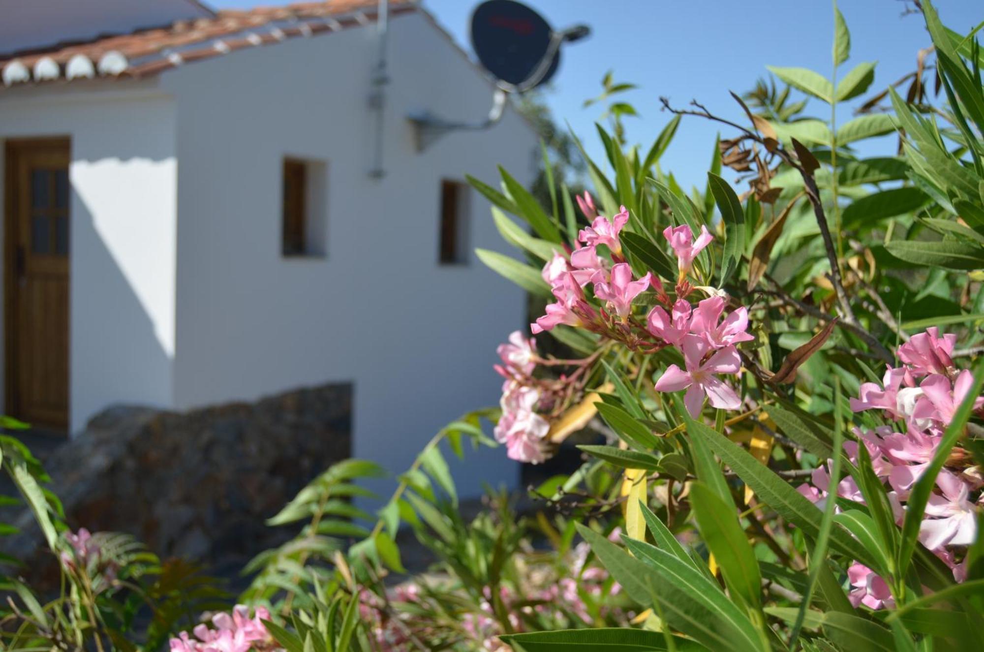 Galegos Casa Do Passaro别墅 外观 照片